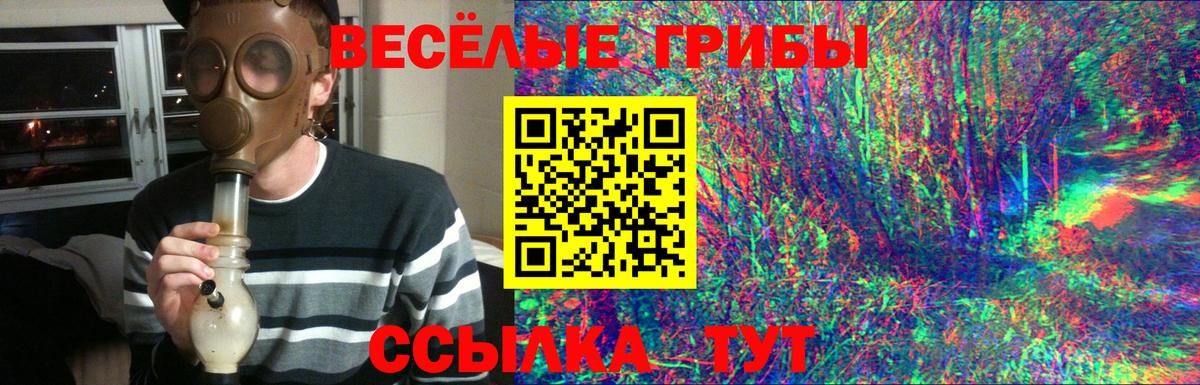 Галлюциногенные грибы ЛСД  Вход с VPN  Алексеевка 